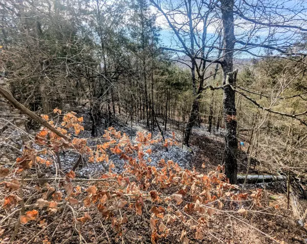 Lt 409,446 Blue Springs RD, Branson West, MO 65737