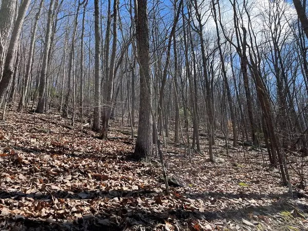 TBD Treehouse Trail, Murphy, NC 28906