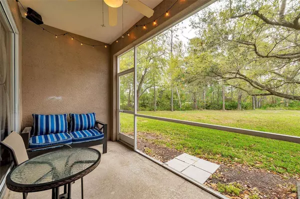 11162 WINDSOR PLACE CIR, Tampa, FL 33626