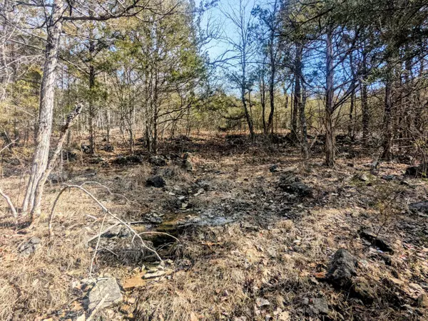 Lt 409,446 Blue Springs RD, Branson West, MO 65737
