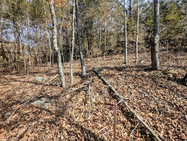 Lt 409,446 Blue Springs RD, Branson West, MO 65737