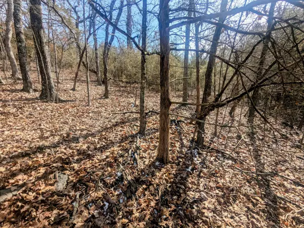 Lt 409,446 Blue Springs RD, Branson West, MO 65737