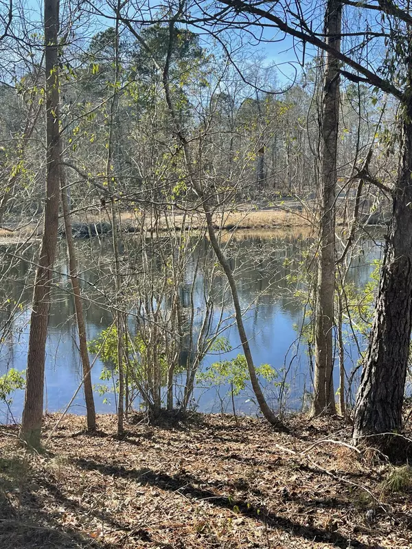 1134 Sante Fe Dr, Manning, SC 29102