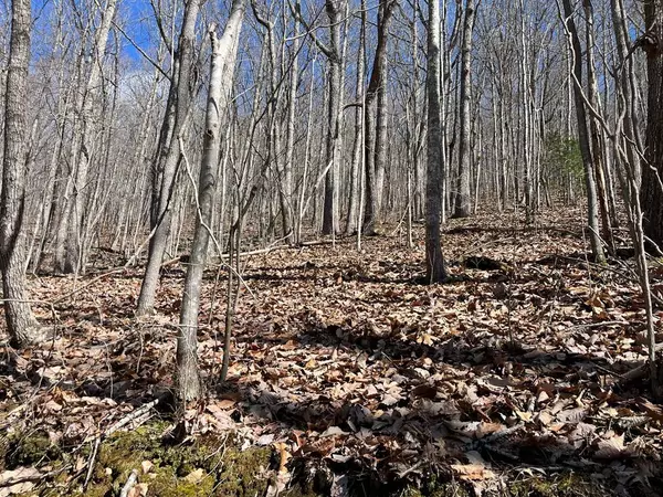 TBD Treehouse Trail, Murphy, NC 28906