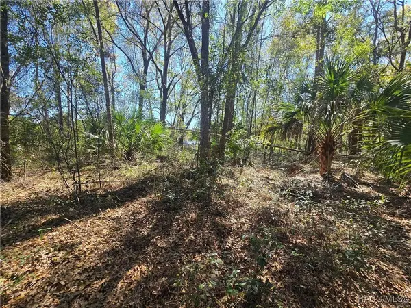 8640 W Basilico ST, Crystal River, FL 34428