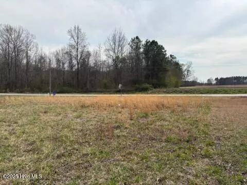 Lots 2 & 3 W Castalia West RD, Nashville, NC 27856