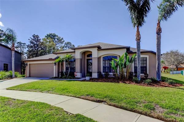 14813 PRINCEWOOD LN, Land O Lakes, FL 34638