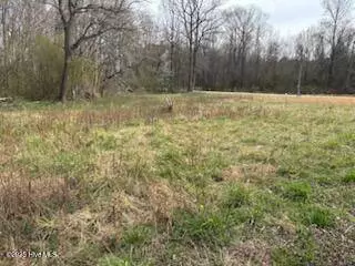 Lots 2 & 3 W Castalia West RD, Nashville, NC 27856