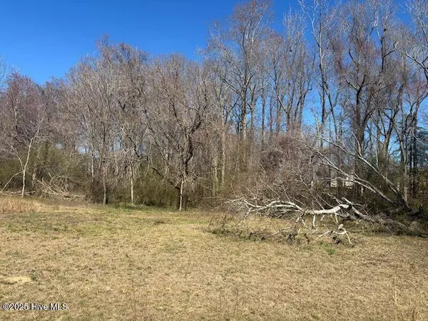 Lots 2 & 3 W Castalia West RD, Nashville, NC 27856