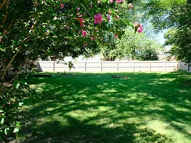 Grain Valley, MO 64029,908 Southwest Foxtail Drive