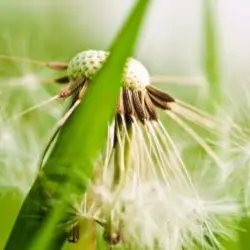 Test Newsite0508-2
