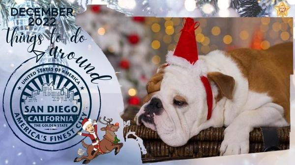 ⛄ Things to do in December 2022,MATT O'BRIEN, REALTOR®
