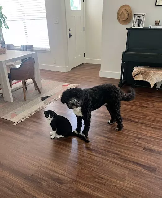 Katie Lane lifestyle