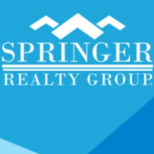 Real Estate Agent David Cassell Springer Realty Group®