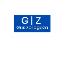 Gustavo Zaragoza