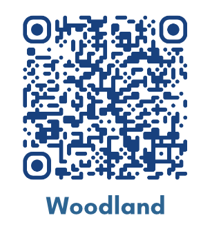 Image Screenshot 2025-01-23 at 9.56.46 AM.png