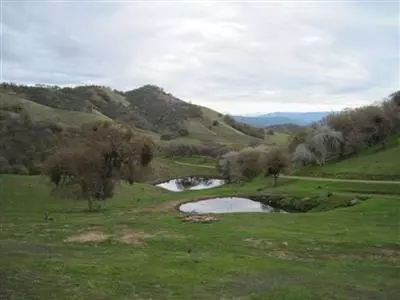 Tollhouse, CA 93667,0 Buckeye Saddle #23