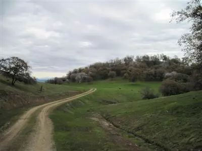 Tollhouse, CA 93667,0 Buckeye Saddle #23