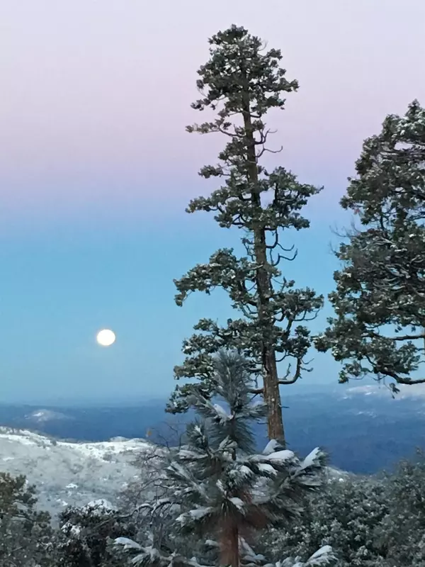 Shaver Lake, CA 93664,39673 Crest Point Lane