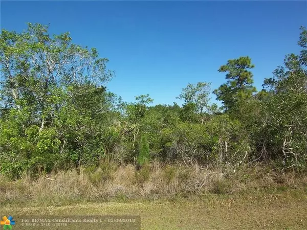 Other City - In The State Of Florida, FL 32833,19449 Odham Street