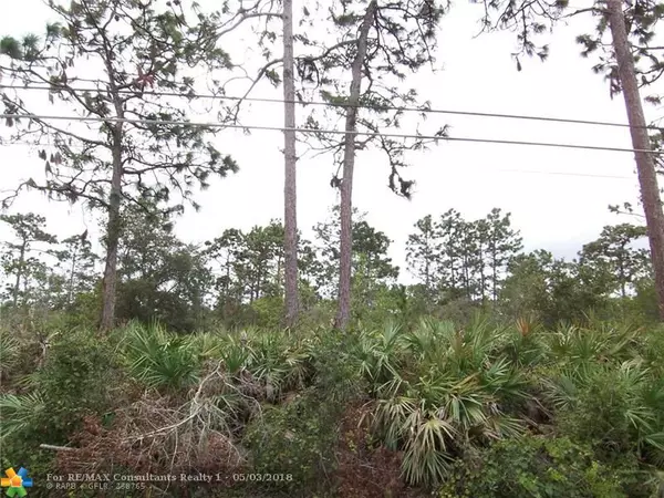 Other City - In The State Of Florida, FL 32833,20600 Ralston Street
