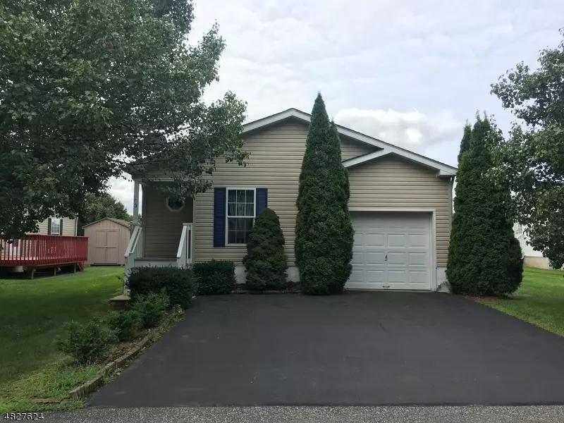 3 peach tree, White Twp., NJ 07823