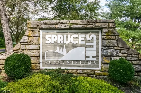 1503 SPRUCE HILLS DR, Glen Gardner Boro, NJ 08826