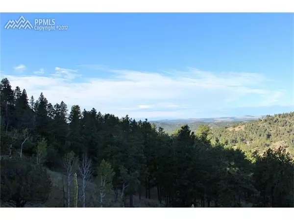 Florissant, CO 80816,832 Highland Meadows Drive