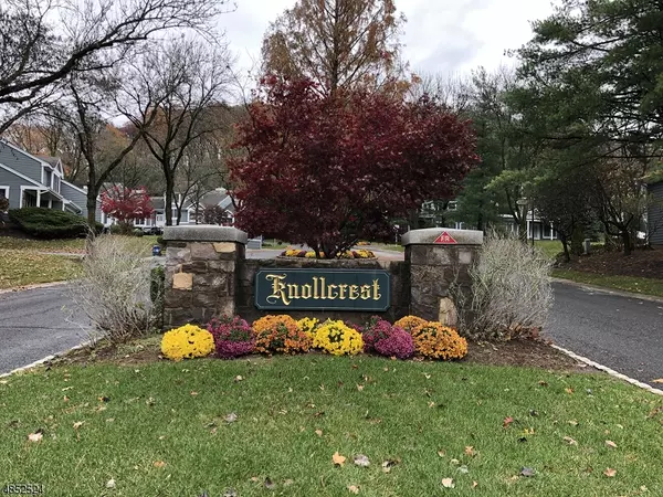 5 BRIGHTWOOD LN, Bedminster Twp., NJ 07921