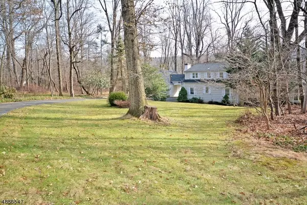 Watchung Boro, NJ 07069,88 CENTURY LN