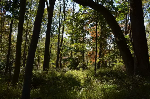 Chester Twp., NJ 07930,68-70 SOUTH RD