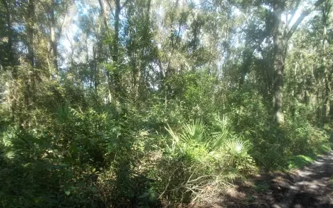 Obrien, FL 32071,LOT 3 CR 349