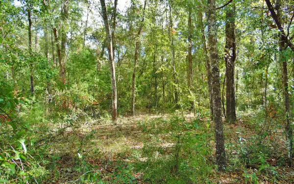 Fort White, FL 32038,LOT20 SW CABOOSE DR