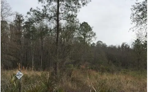 TBD SW CR 50 AND 118TH LANE, Jasper, FL 32052