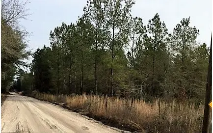 TBD SW CR 50 AND 118TH LANE, Jasper, FL 32052