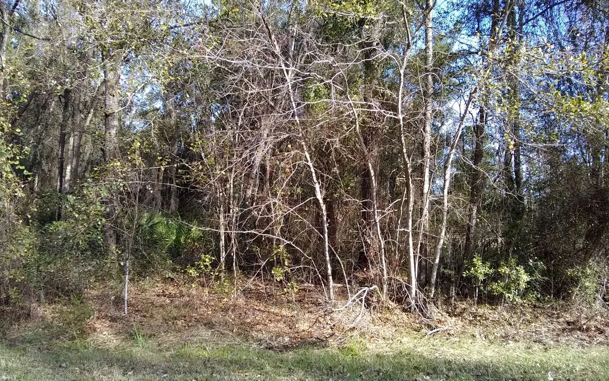 NW SCENIC LAKE DRIVE, Lake City, FL 32055