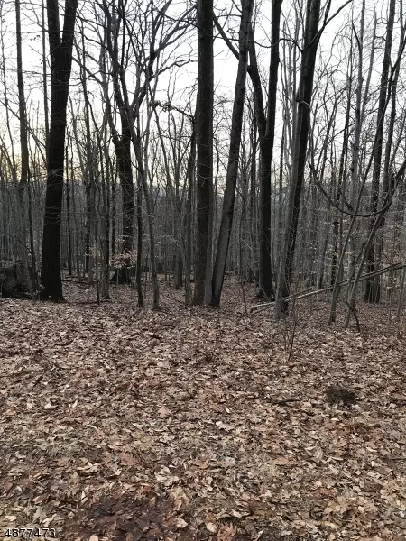 11 ARTIST VIEW LN, Blairstown Twp., NJ 07825