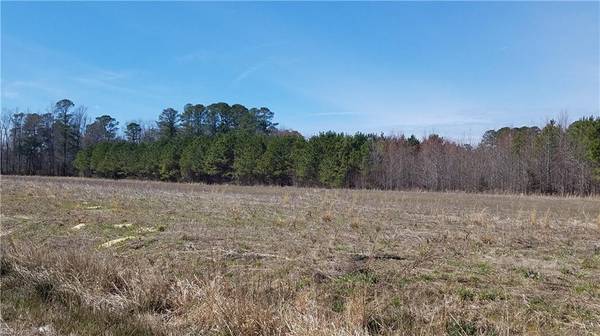 Franklin, VA 23851,Lot 3 Black Creek RD