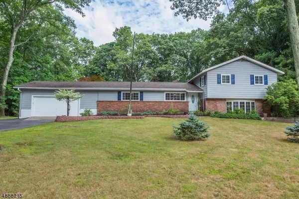 220 SOUTH HILLSIDE AVE, Roxbury Twp., NJ 07876