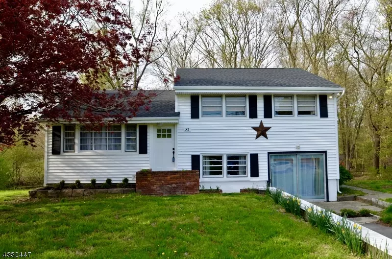 81 HALSEY RD, Hampton Twp., NJ 07860