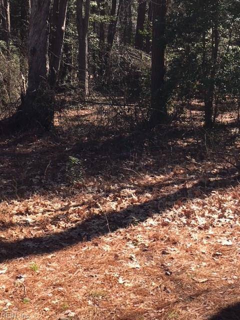 Lot 16 Piankatank DR,  Dutton,  VA 23050