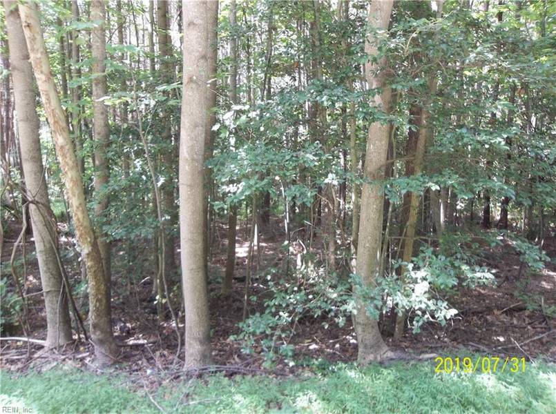 4.53ac Indian Town RD, Courtland, VA 23837