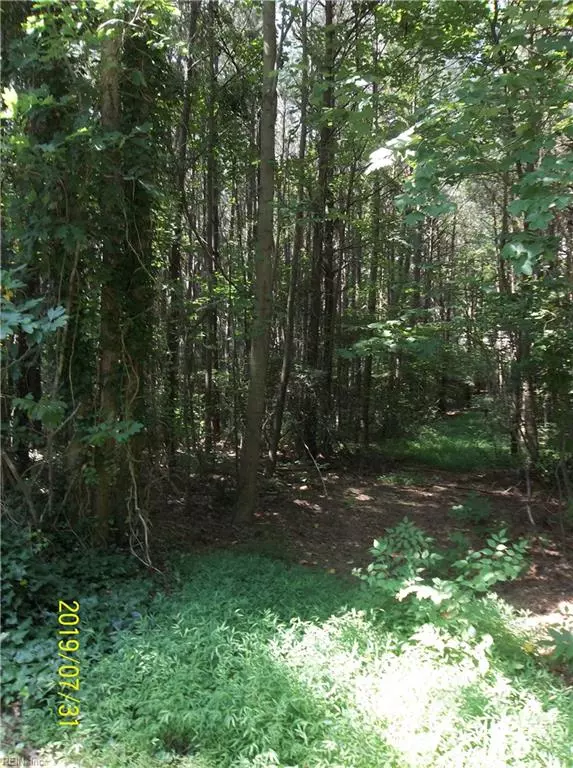 Courtland, VA 23837,4.53ac Indian Town RD