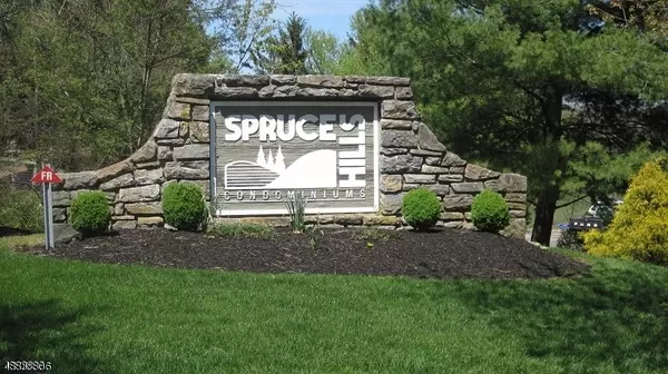 1113 SPRUCE HILLS DR, Glen Gardner Boro, NJ 08826