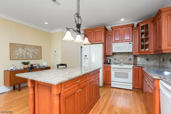 Watchung Boro, NJ 07069,21 SCHMIDT CIR