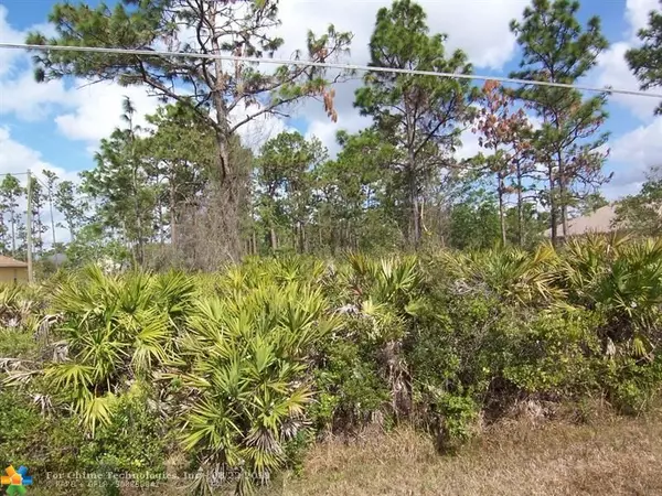 Other City - In The State Of Florida, FL 32833,20461 Quinn Street