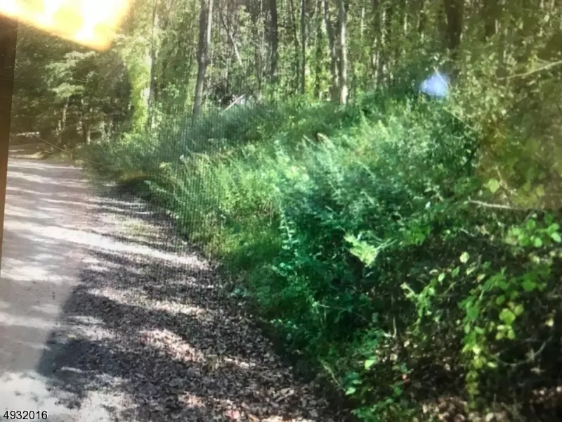 Vernon Twp., NJ 07461,3 CURREY LN