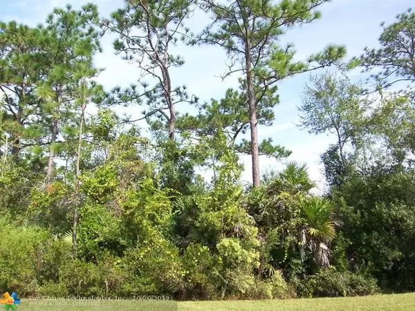 Other City - In The State Of Florida, FL 32833,19401 Peabody Street