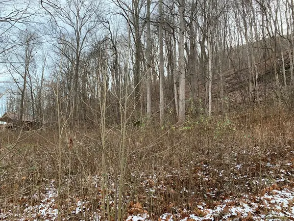 0 NEW RIVER ROAD, Hinton, WV 25951