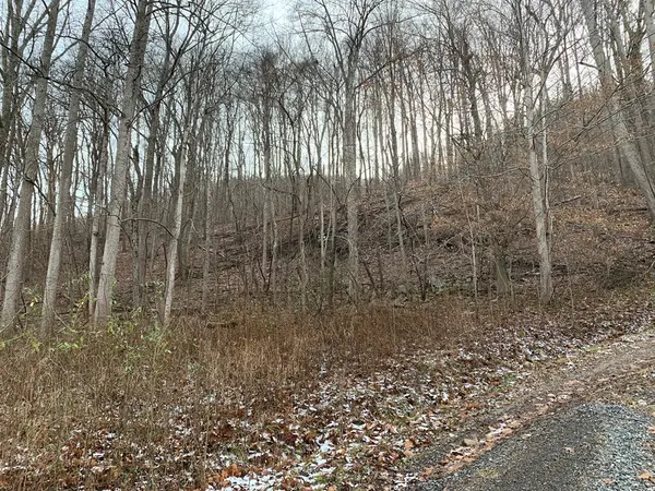 0 NEW RIVER ROAD, Hinton, WV 25951